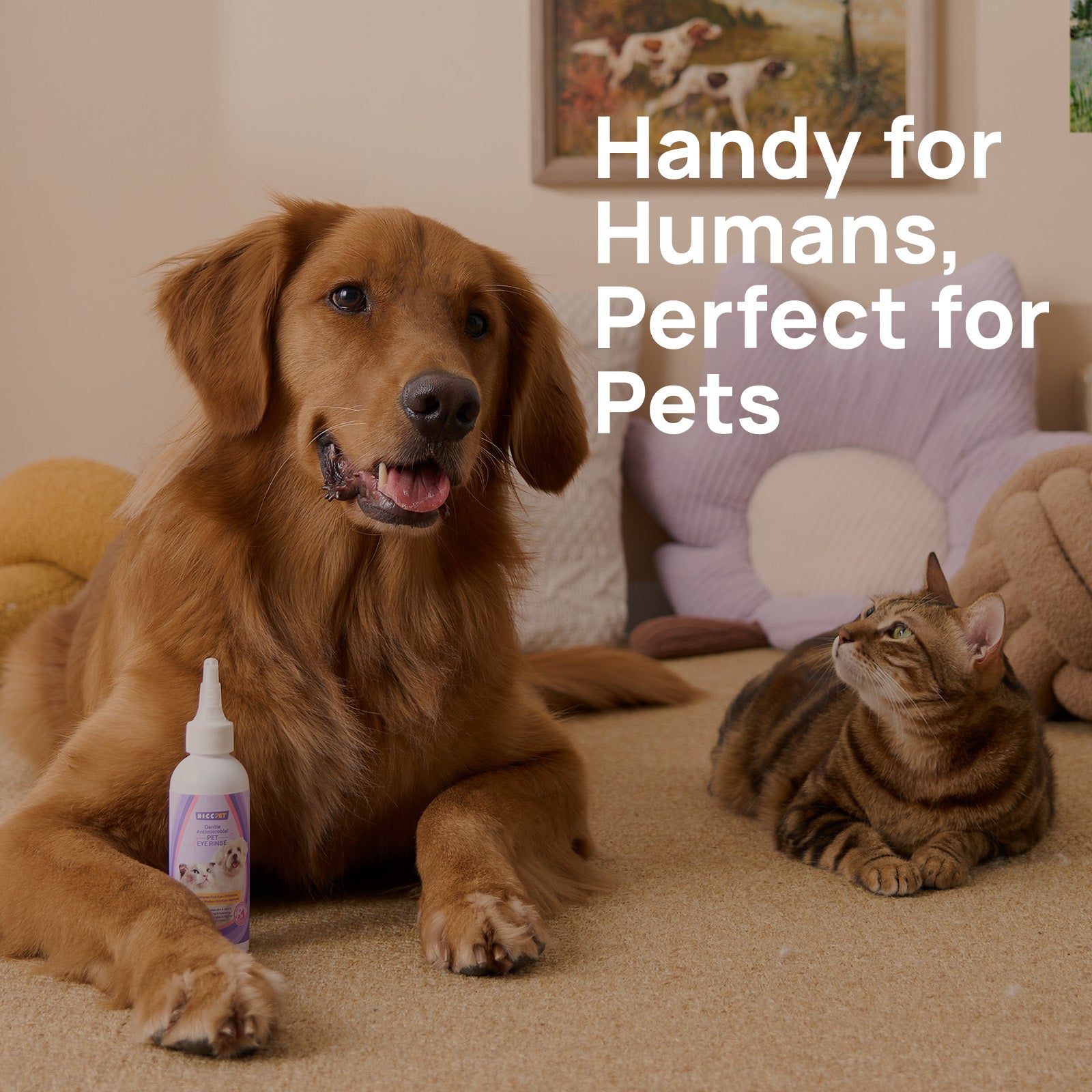 Gentle Pet Eye Cleansing Rinse for Dogs & Cats
