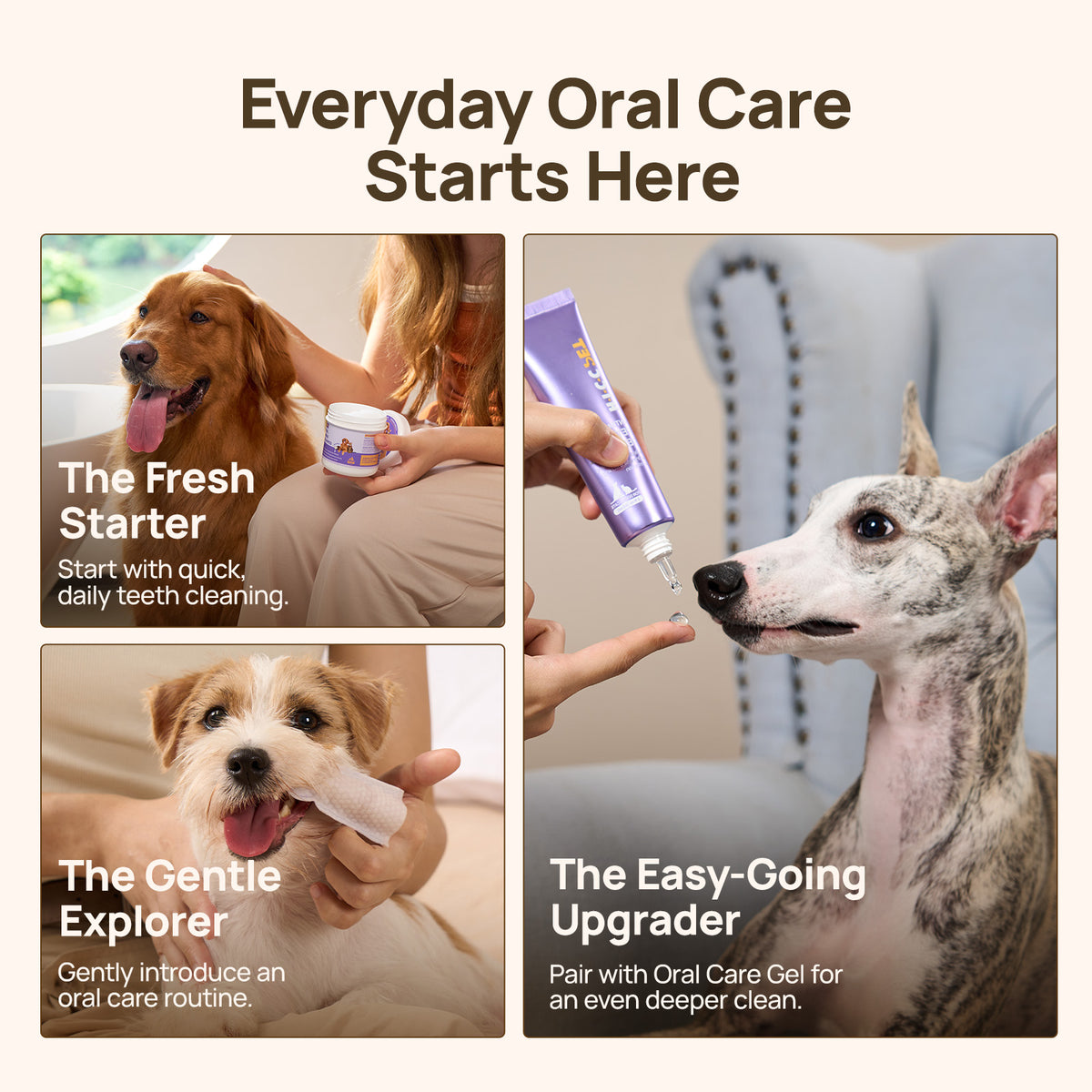 3-step pet oral care routine: finger wipes, daily cleaning and oral gel