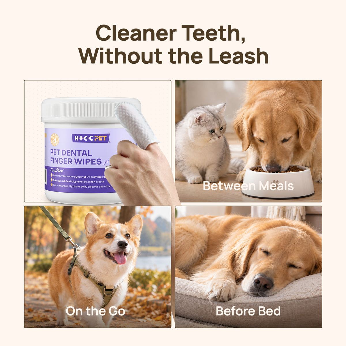 Pet dental finger wipes for between meals, travel and bedtime