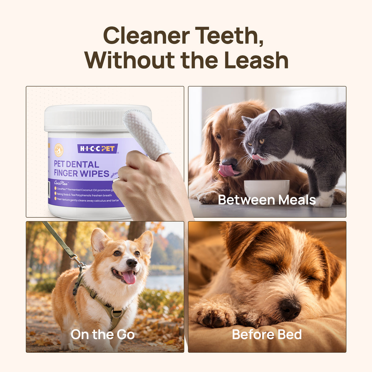 Cleaner teeth without the leash: HICC PET dental finger wipes in four grids - product close-up, after meals, outings and before bed