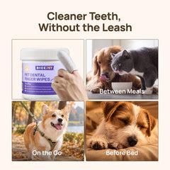 Cleaner teeth without the leash: HICC PET dental finger wipes in four grids - product close-up, after meals, outings and before bed