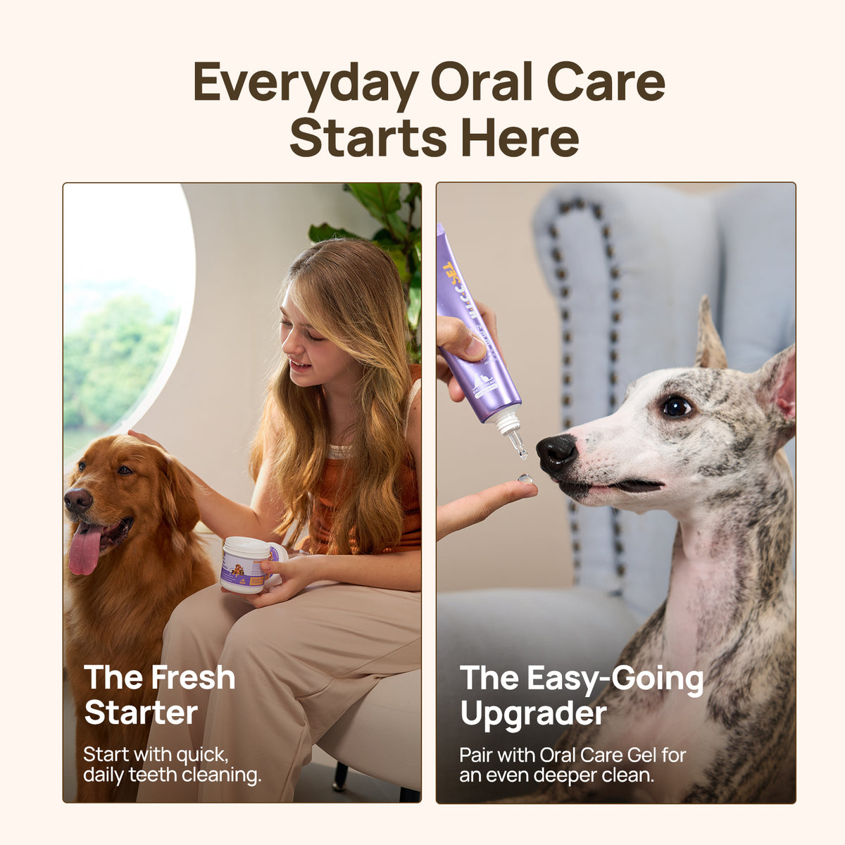 Everyday oral care starts here: The Fresh Starter uses HICC PET dental finger wipes on a golden retriever, The Upgrader adds oral care gel