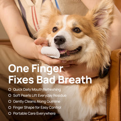 One finger solves bad breath: HICC PET dental finger wipes clean a corgi's teeth - fresh breath, gentle stain removal and portable design
