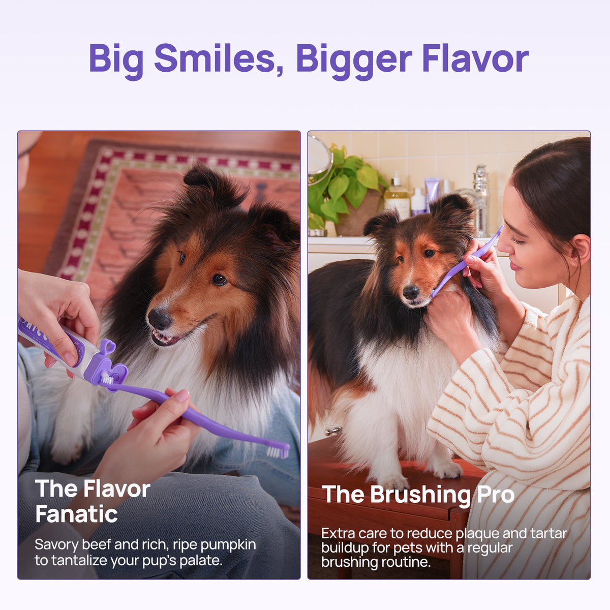 Big smiles, bigger flavor: savory beef and ripe pumpkin for The Flavor Fanatic while regular brushing reduces plaque and tartar for The Brushing Pro