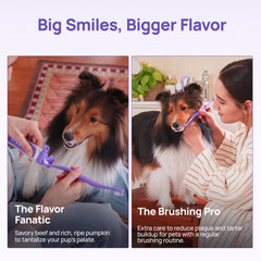 Big smiles, bigger flavor: savory beef and ripe pumpkin for The Flavor Fanatic while regular brushing reduces plaque and tartar for The Brushing Pro