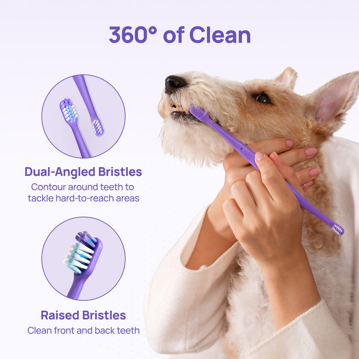 360 degrees of clean: HICC PET dual-head dog toothbrush with dual-angle raised bristles shown in detail and in use on a dog
