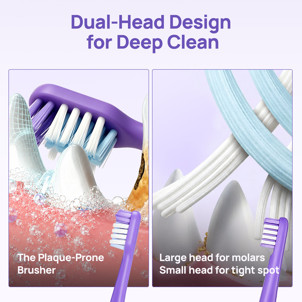 Dual-head design for deep clean: the large brush head follows the gum line while the small head reaches between teeth and molars