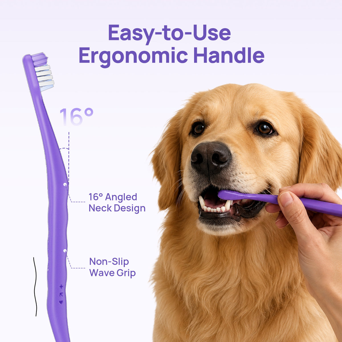 Easy-to-use ergonomic handle: 16-degree angled neck and non-slip wave grip while brushing a golden retriever