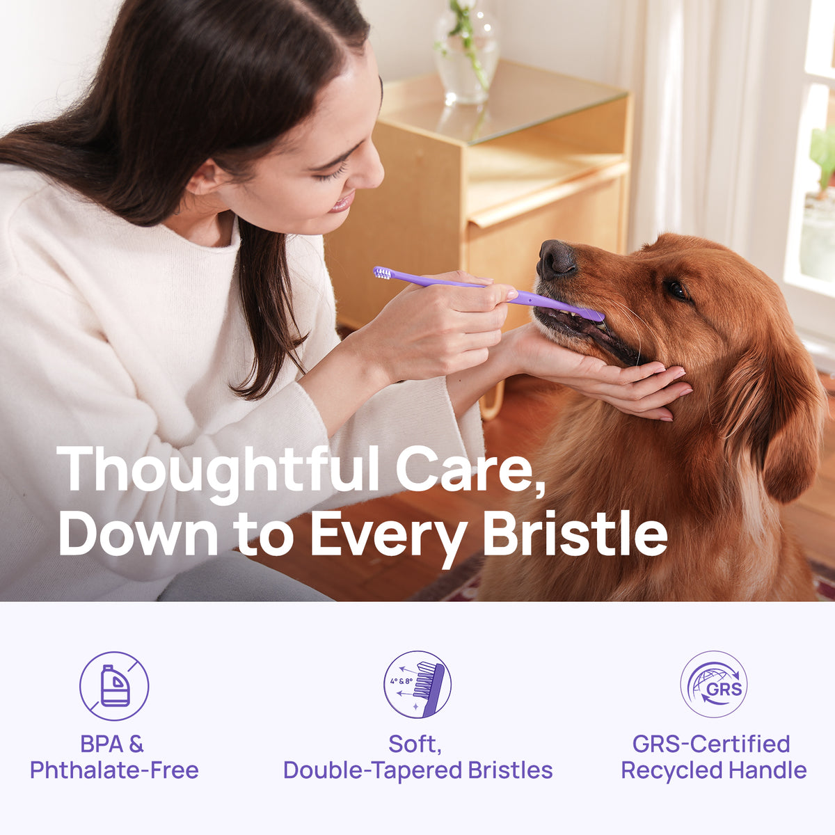 A deeper clean tooth by tooth: HICC PET dual-head toothbrush with beef and pumpkin enzymatic dog toothpaste set