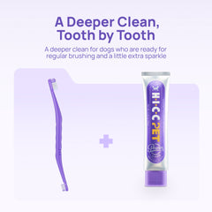 A deeper clean tooth by tooth: HICC PET dual-head toothbrush with beef and pumpkin enzymatic dog toothpaste set