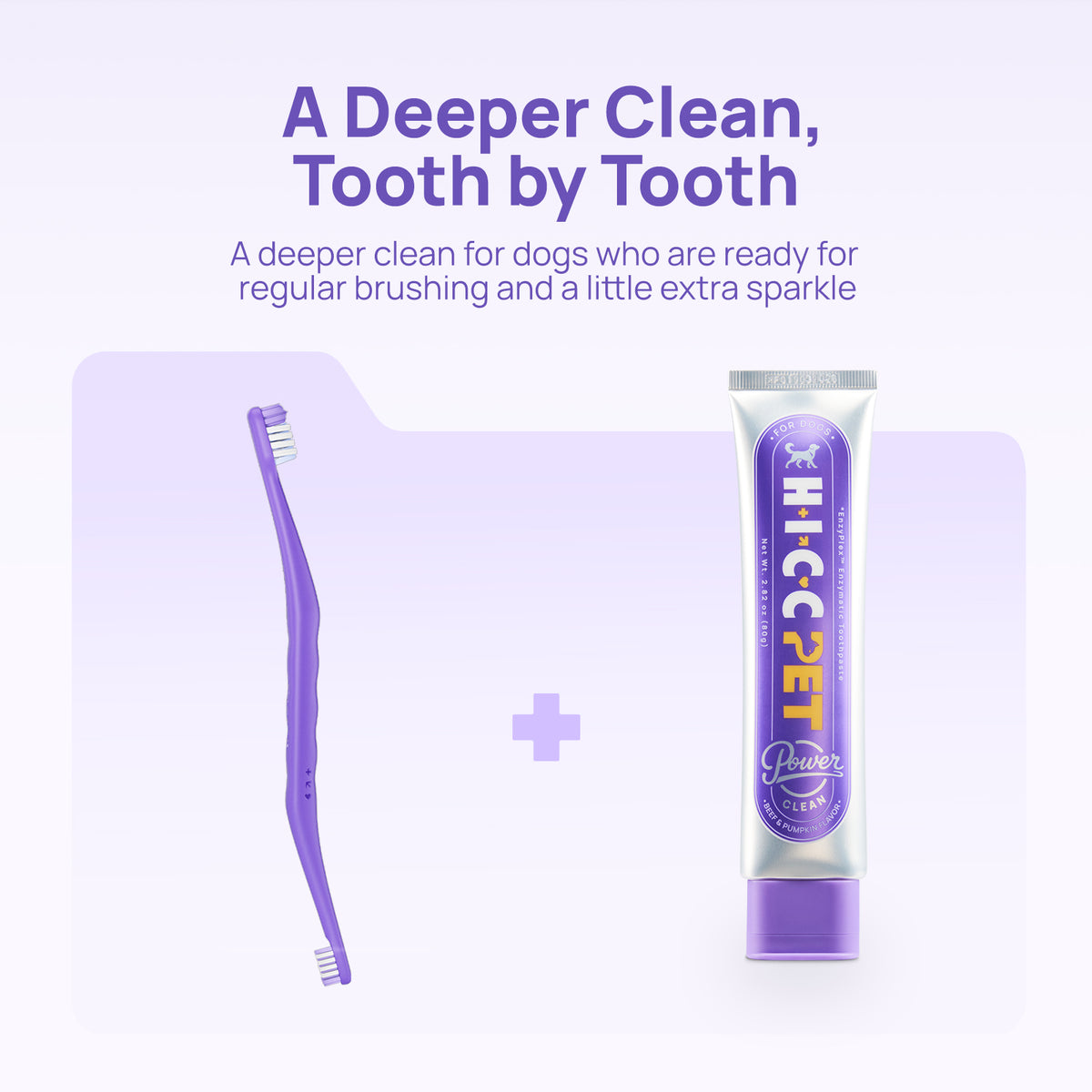 A deeper clean tooth by tooth: HICC PET dual-head toothbrush with beef and pumpkin enzymatic dog toothpaste set