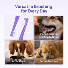 Versatile brushing for every day: HICC PET dual-head toothbrush for plaque control, after meals and before-bed scenarios