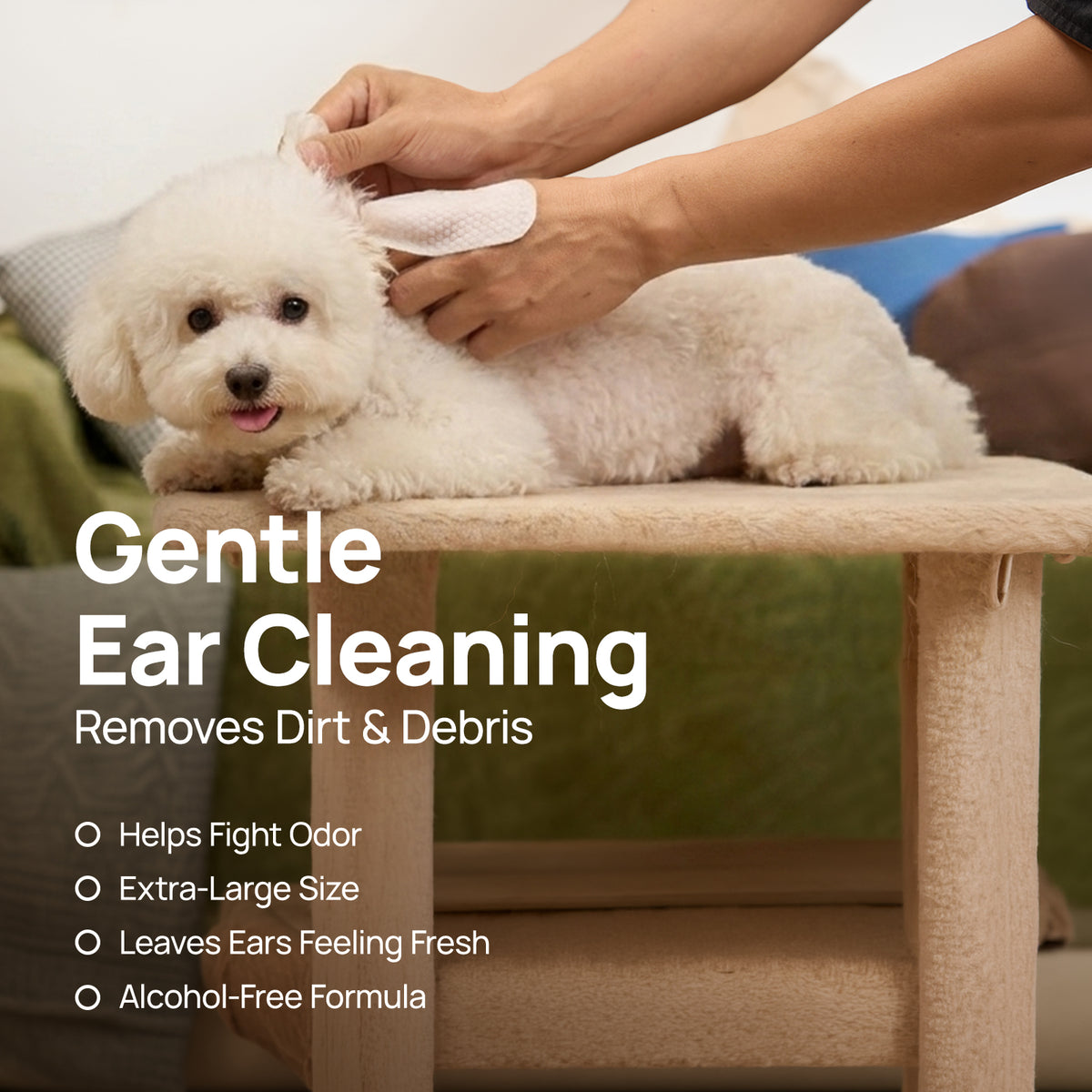 Gentle ear cleaning: HICC PET ear finger wipes remove dirt and debris, fight odor and leave ears feeling fresh with an alcohol-free, extra-large design while cleaning a smiling Bichon Frise