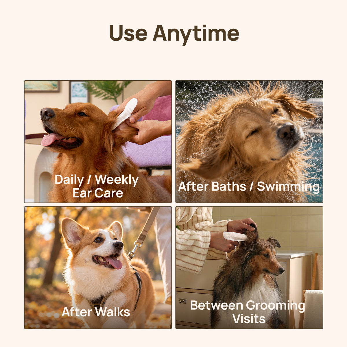 Use anytime: HICC PET ear finger wipes for daily and weekly ear care, after baths and swimming, after walks and between grooming visits - Golden Retriever, Corgi and Sheltie scenes