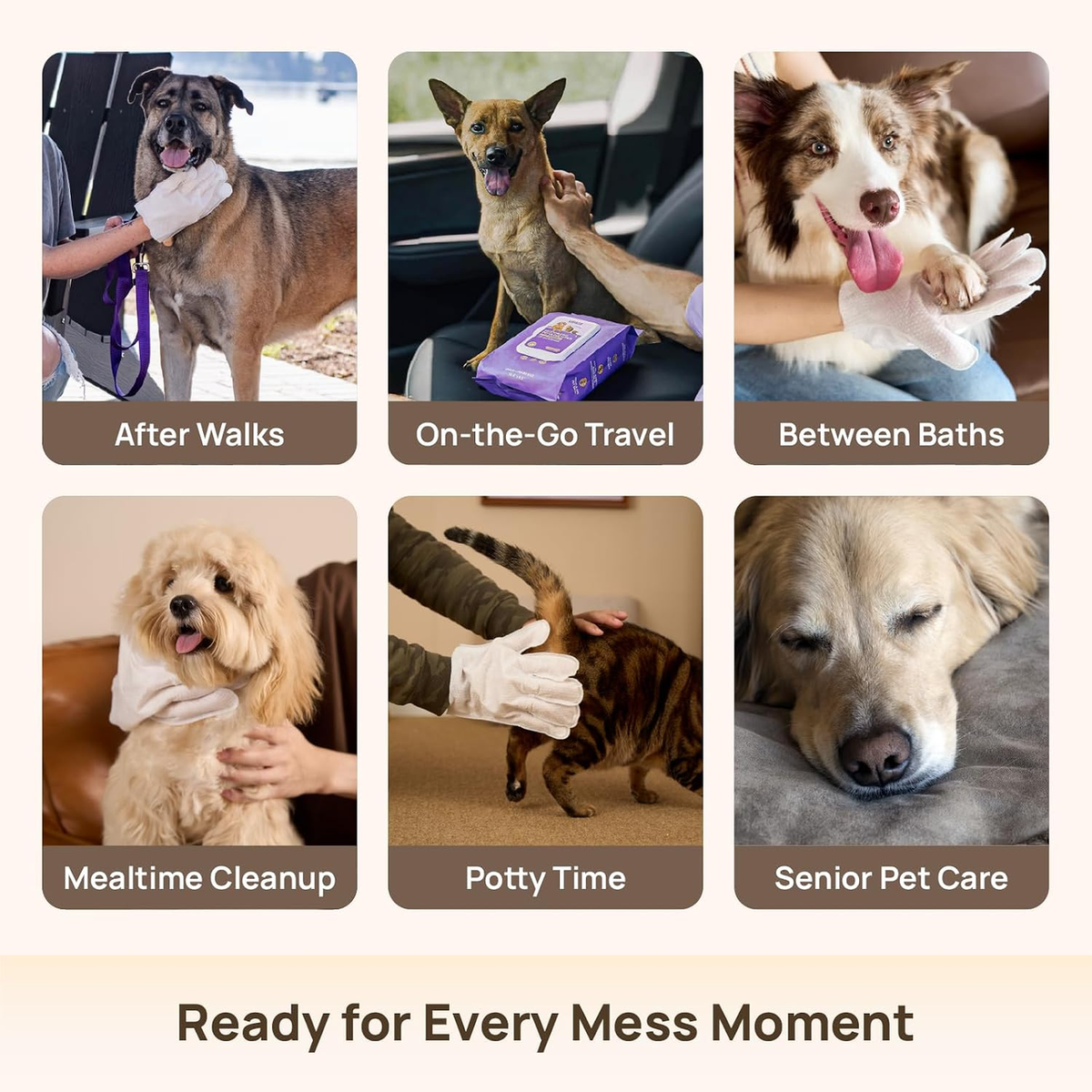 Ready for every mess moment: HICC PET glove wipes for after walks, on-the-go travel, between baths, mealtime cleanup, potty time and senior pet care - six scenes with dogs and cats