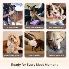 Ready for every mess moment: HICC PET glove wipes for after walks, on-the-go travel, between baths, mealtime cleanup, potty time and senior pet care - six scenes with dogs and cats
