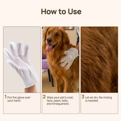 How to use HICC PET glove wipes in three steps: wear the glove, wipe the whole body and let it air dry - no-rinse demo on a golden retriever