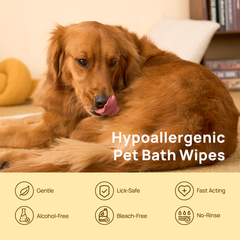 Hypoallergenic HICC PET pet bath wipes - gentle, lick-safe, fast acting, alcohol free, bleach free and no-rinse, with a happy Golden Retriever at home