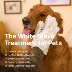 The white glove treatment for pets: HICC PET glove wipes clean and deodorize a golden retriever's face - no rinse, soft, sensitive-skin friendly