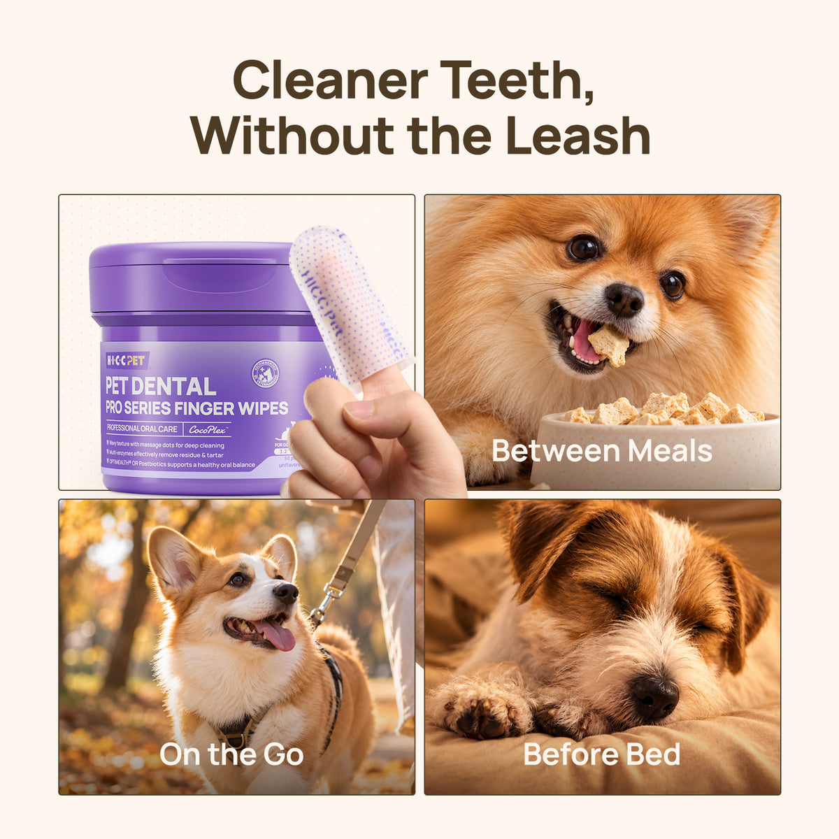 Cleaner teeth without the leash: HICC PET PRO dental finger wipes in four scenes - product close-up, after meals, outings and before bedtime