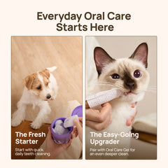 Everyday oral care starts here: HICC PET PRO dental finger wipes for both cats and dogs - puppy and Siamese cat teeth cleaning with one gentle wipe