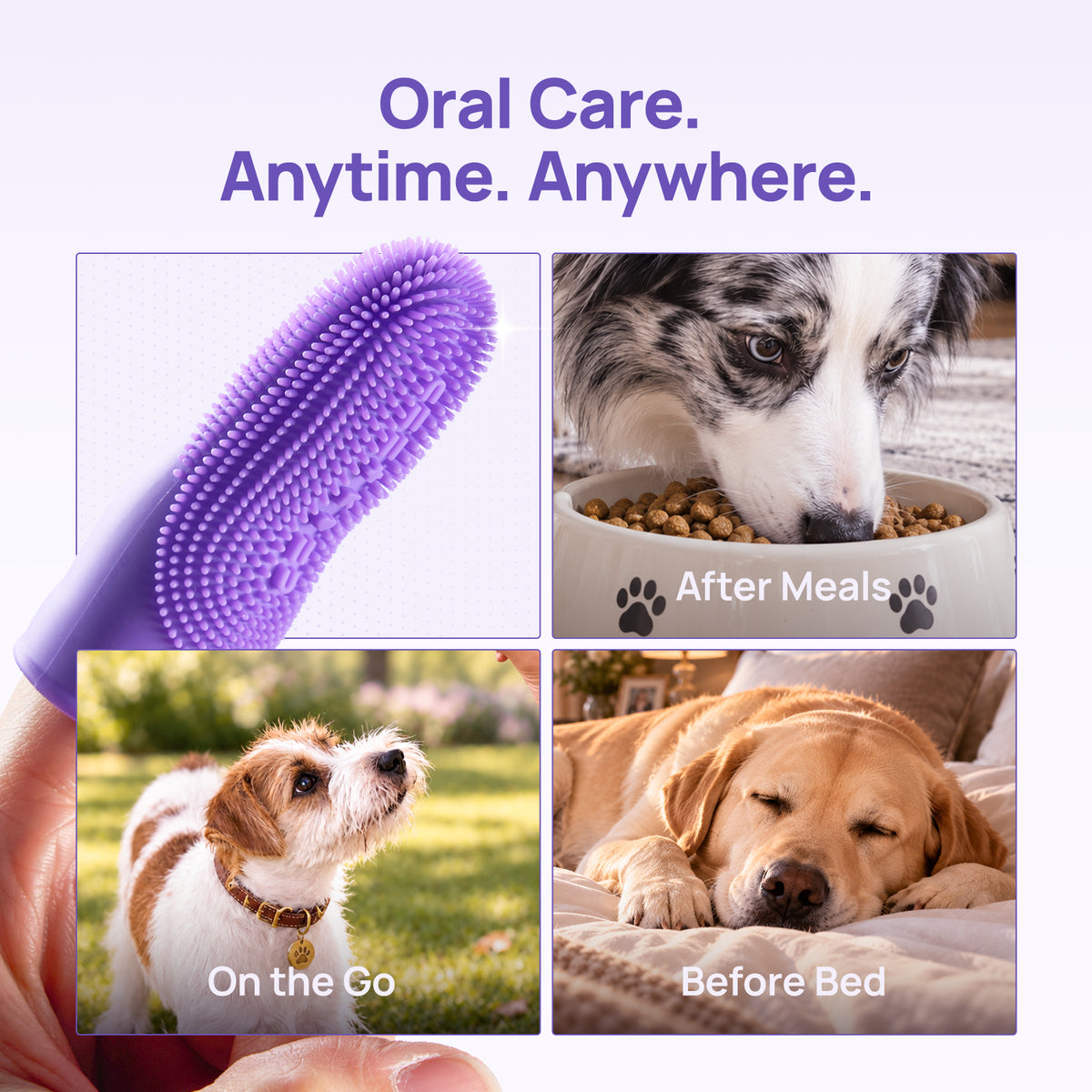 HICC PET silicone finger toothbrush for oral care anytime, anywhere - after meals, on the go and before bed with three daily dog scenes
