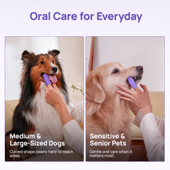 HICC PET silicone finger toothbrush for everyday oral care of medium, large, senior and sensitive dogs - brushing a Shetland Sheepdog and a Golden Retriever at home