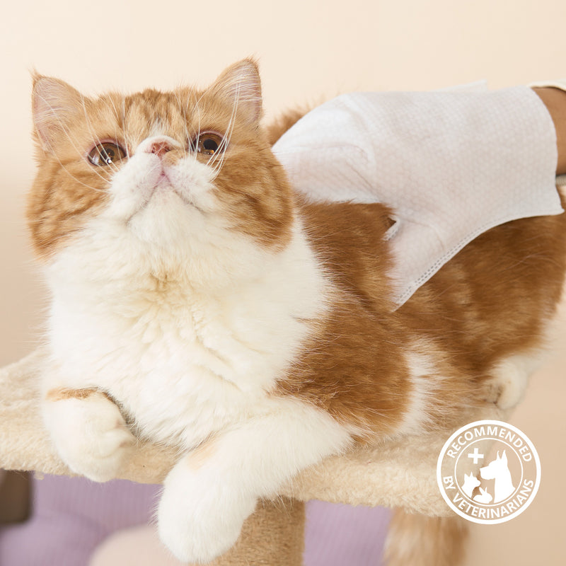 HICC Pet® Deodorizing Pet Glove Wipes For Cats