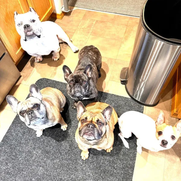 HICCPet Index Reviews Image - 9