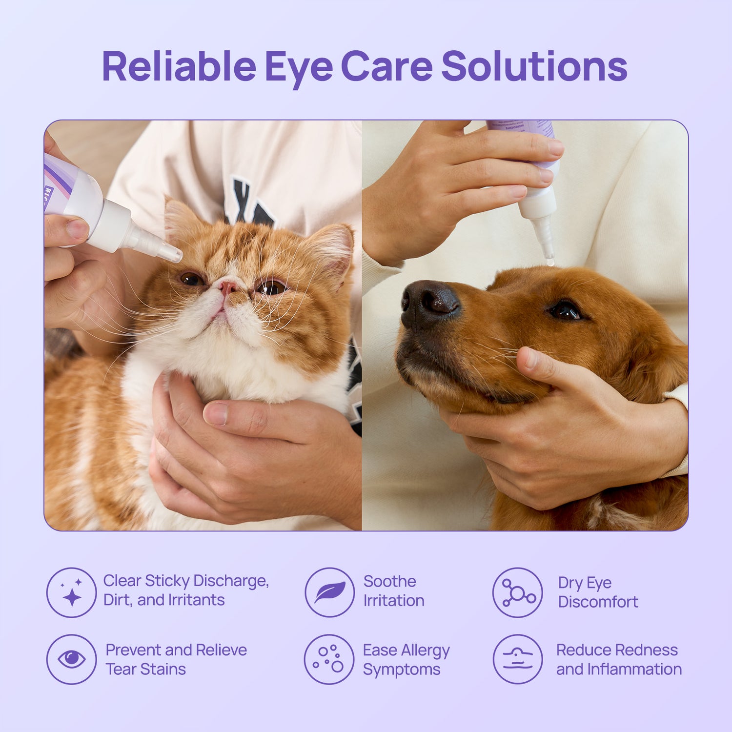 Gentle Pet Eye Cleansing Rinse for Dogs & Cats