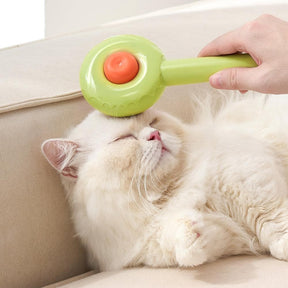 Pet Hair Grooming Brush for Cats
